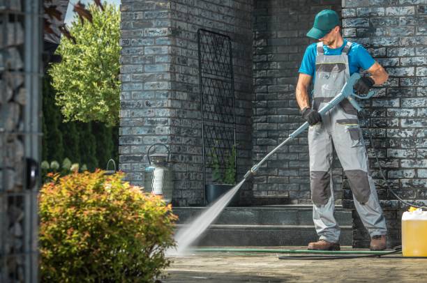 Best Soft Washing  in Parsons, TN